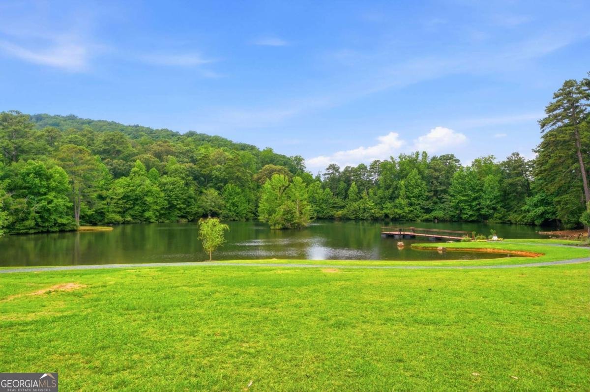 225 Brookview Place Woodstock - Photo 51