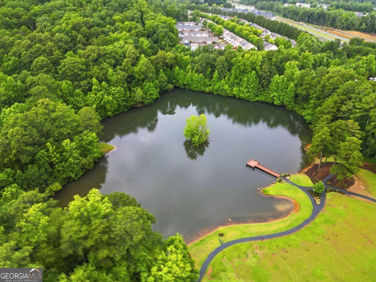 225 Brookview Place Woodstock - Photo 52