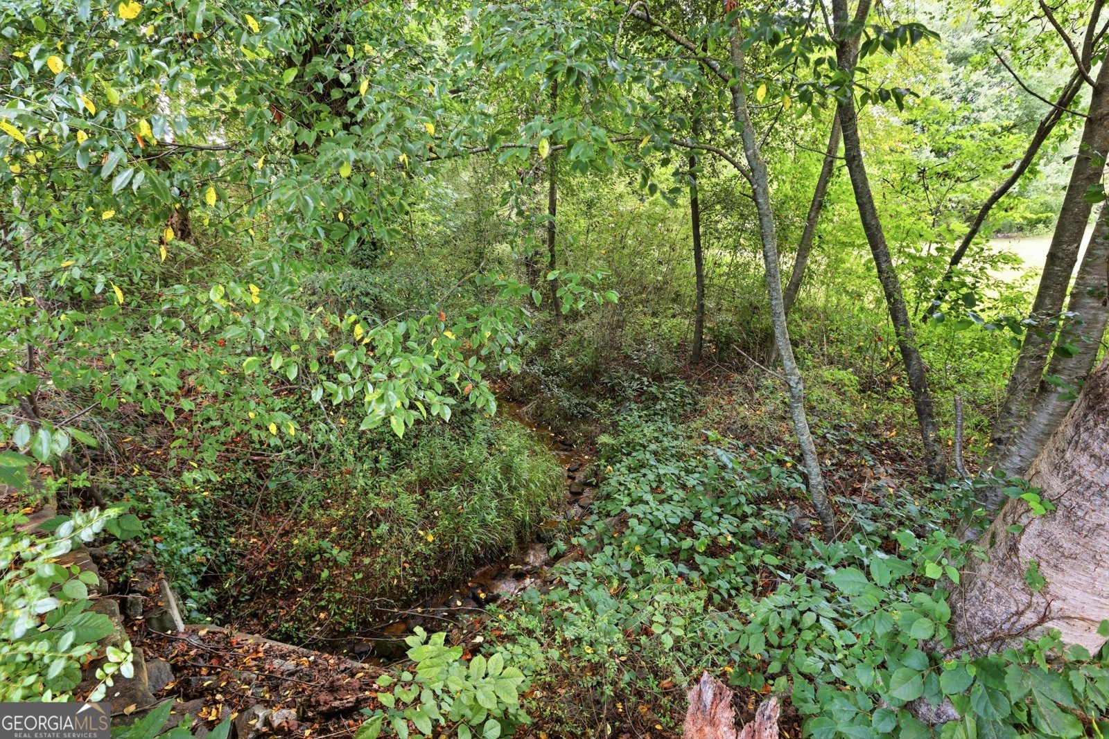 5911 Wauka Valley Pass Clermont - Photo 12