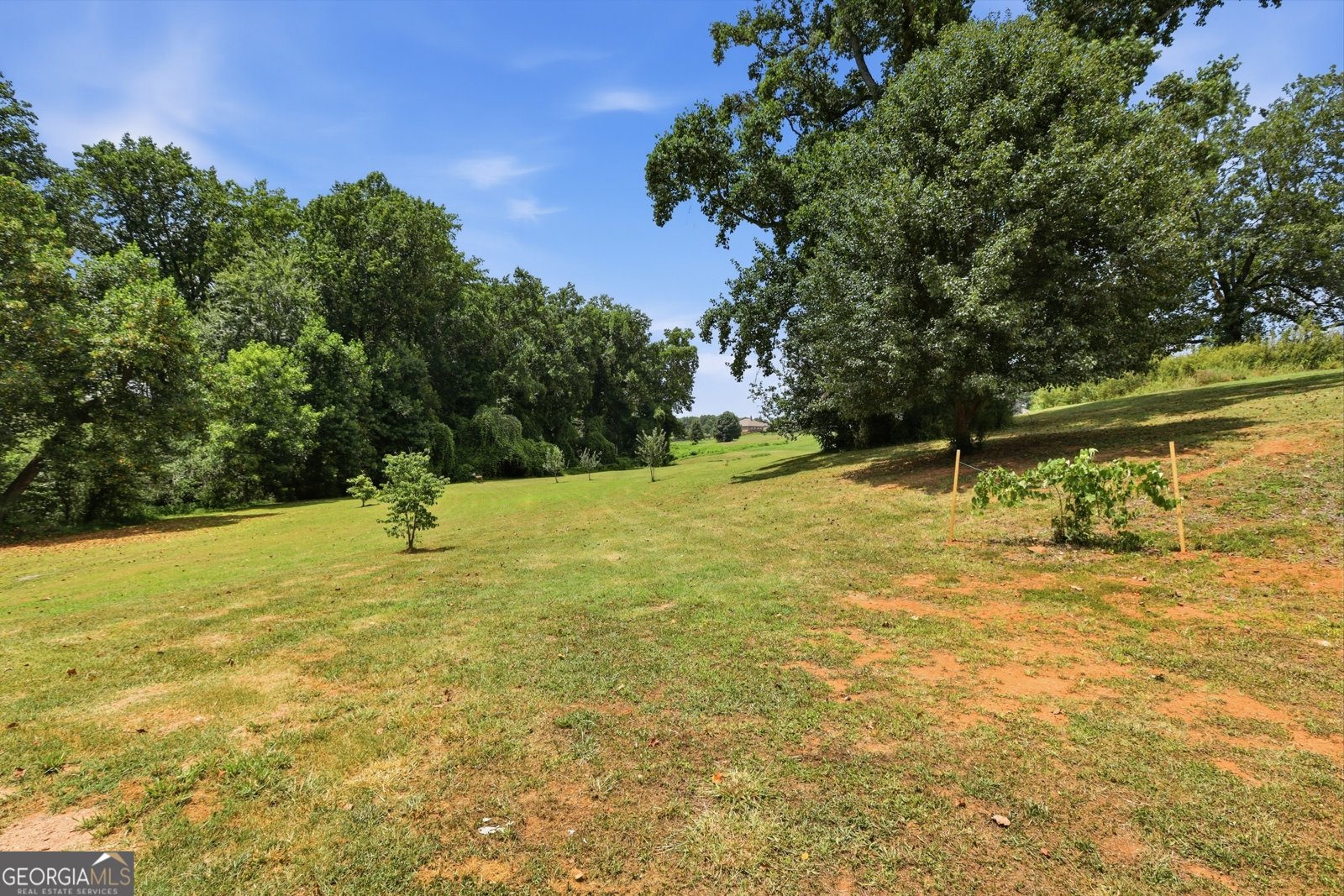 5911 Wauka Valley Pass Clermont - Photo 15