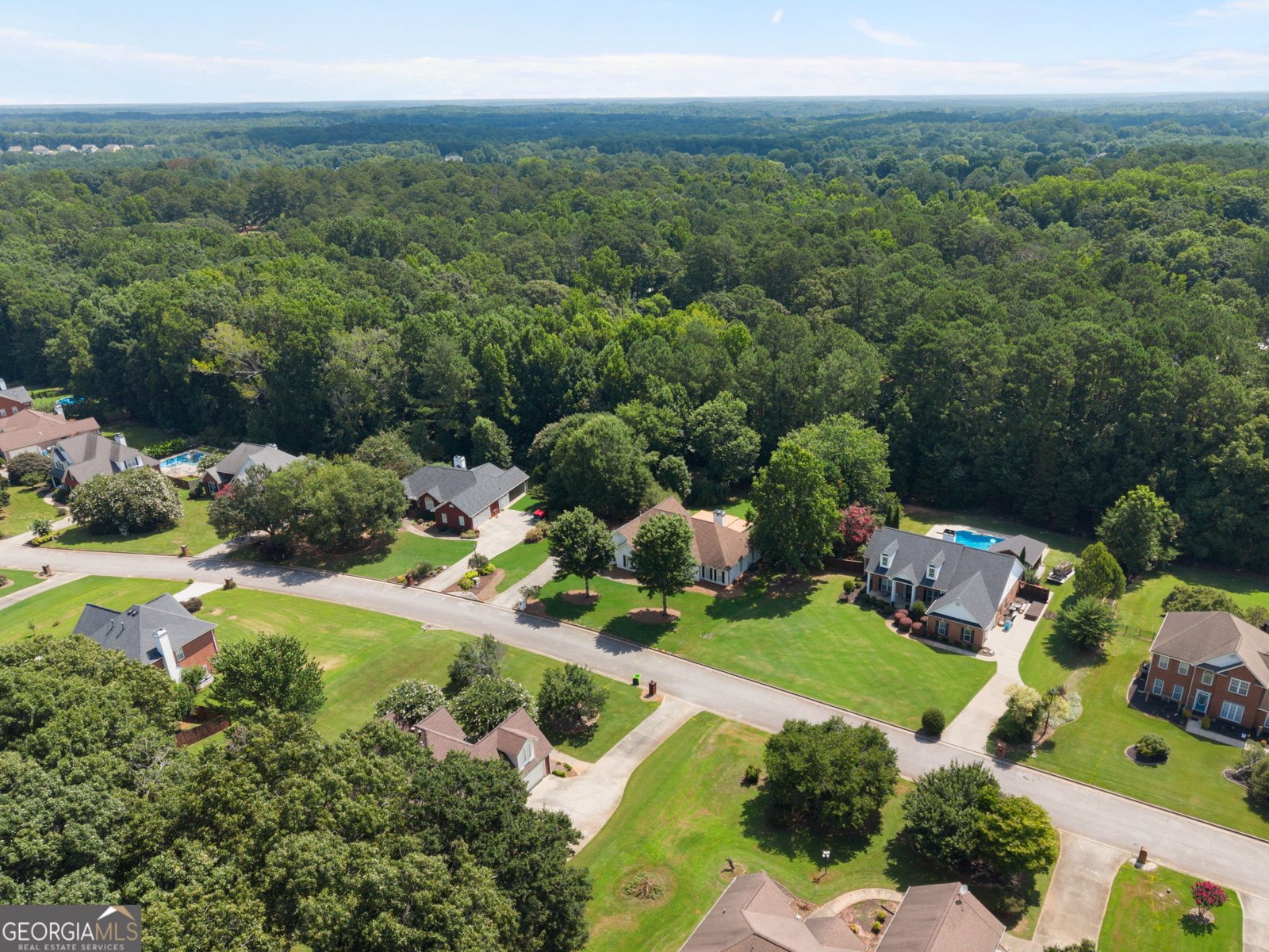 178 Ashley Drive McDonough - Photo 54