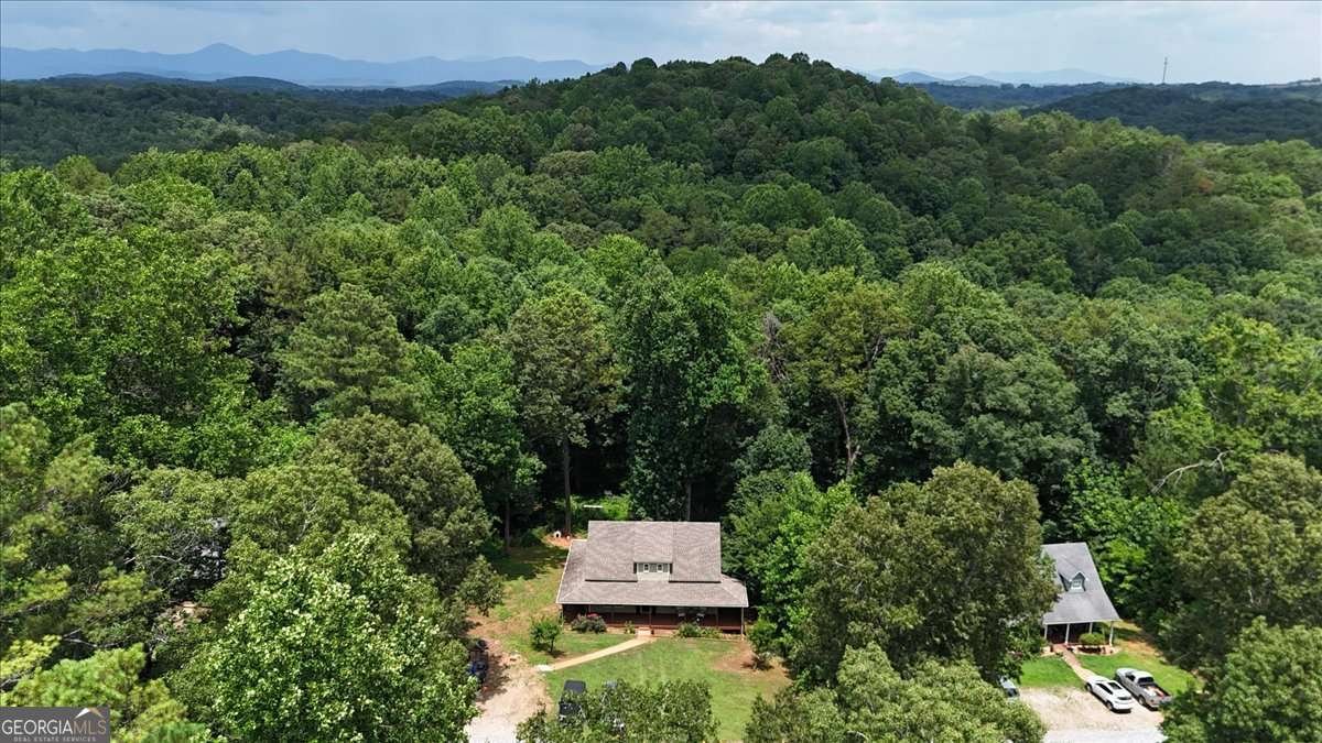 43 Bulldog Way Dahlonega - Photo 21