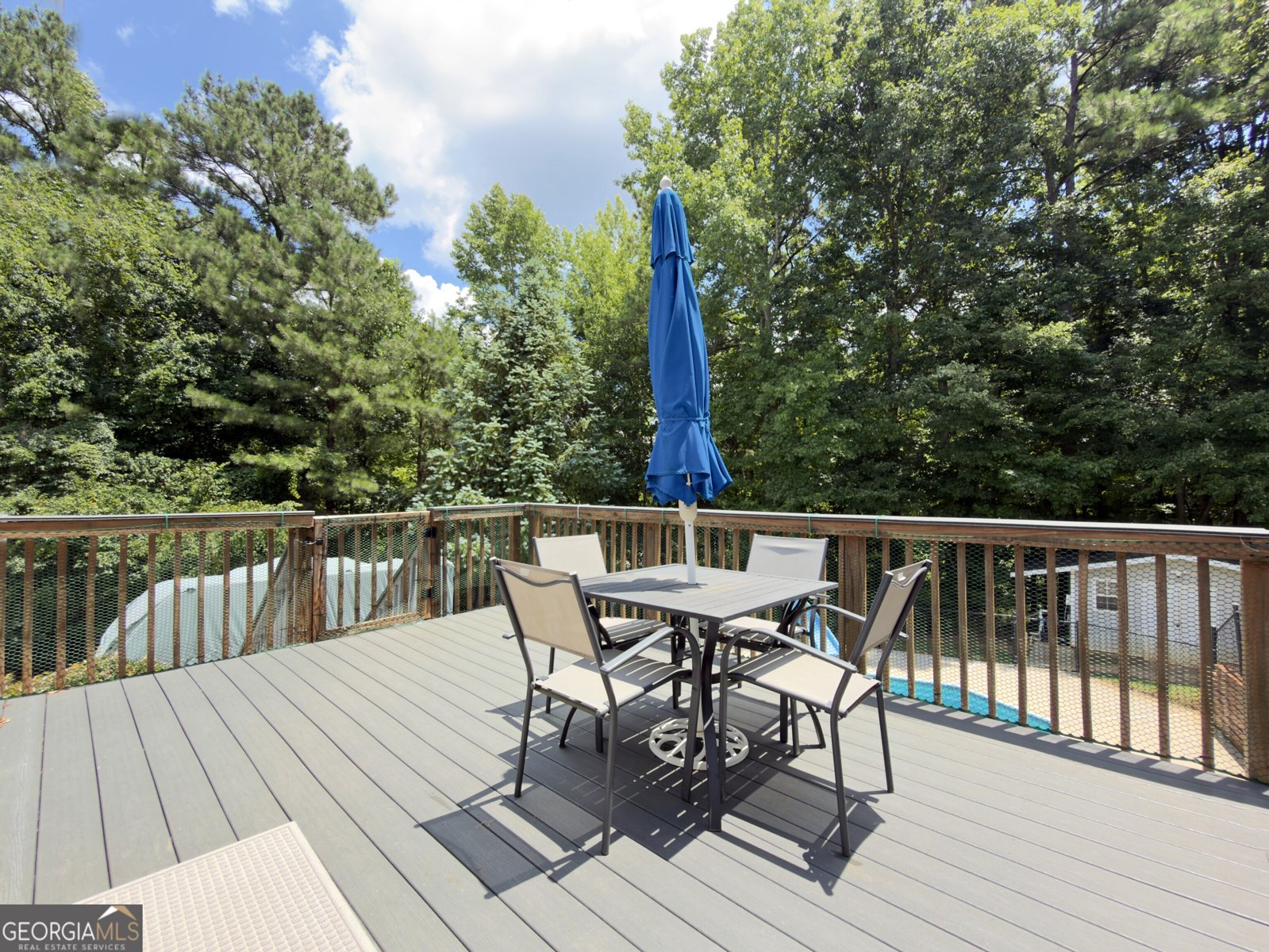 1048 Birdseye View Locust Grove - Photo 30