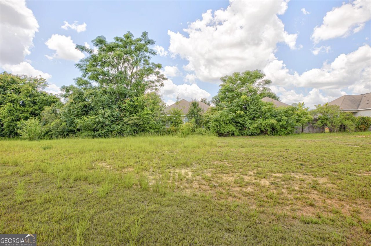 249 Isabella Way Byron - Photo 56