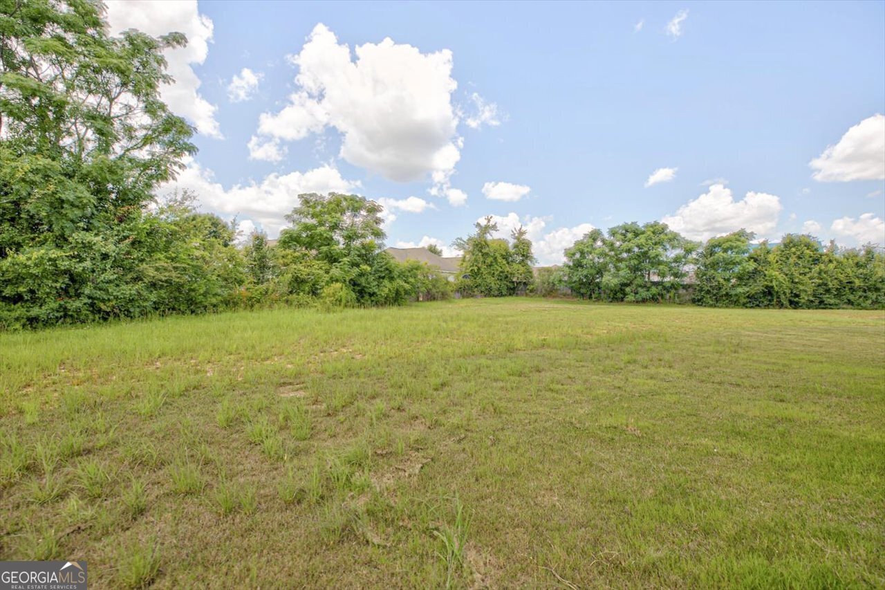 249 Isabella Way Byron - Photo 57