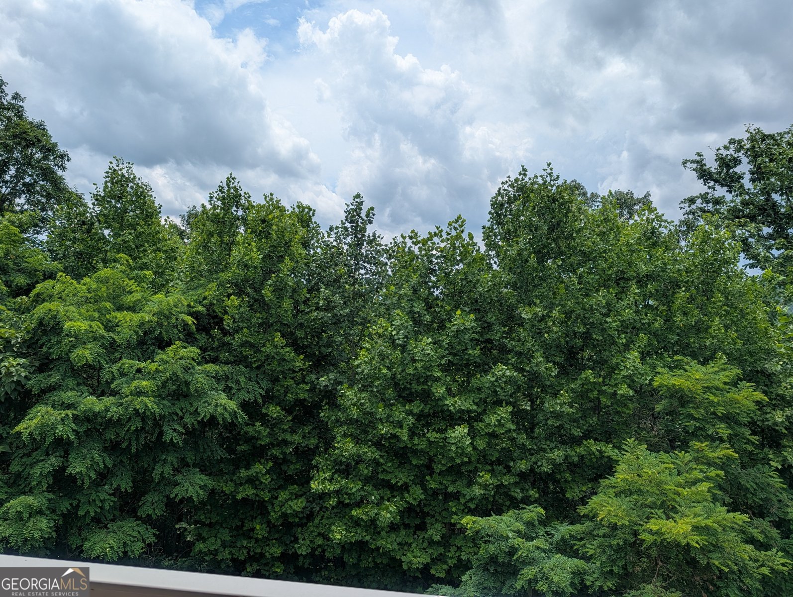 388 Ross Ridge Road Blairsville - Photo 17