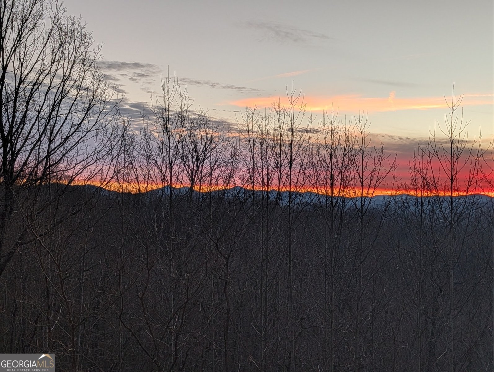 388 Ross Ridge Road Blairsville - Photo 39