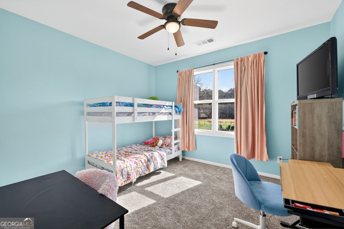 309 Dunahoo Road Winder - Photo 29