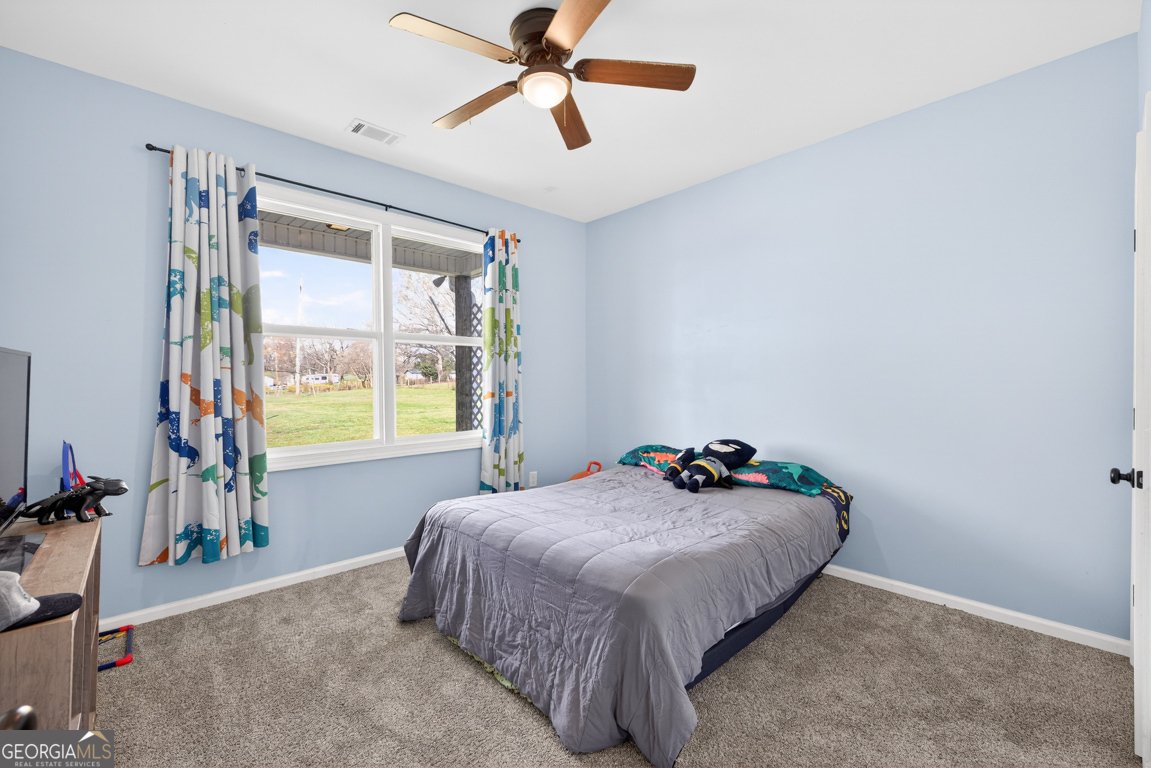 309 Dunahoo Road Winder - Photo 33