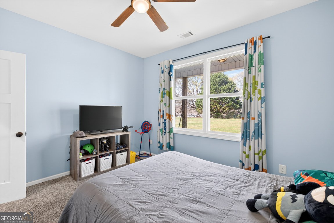 309 Dunahoo Road Winder - Photo 34