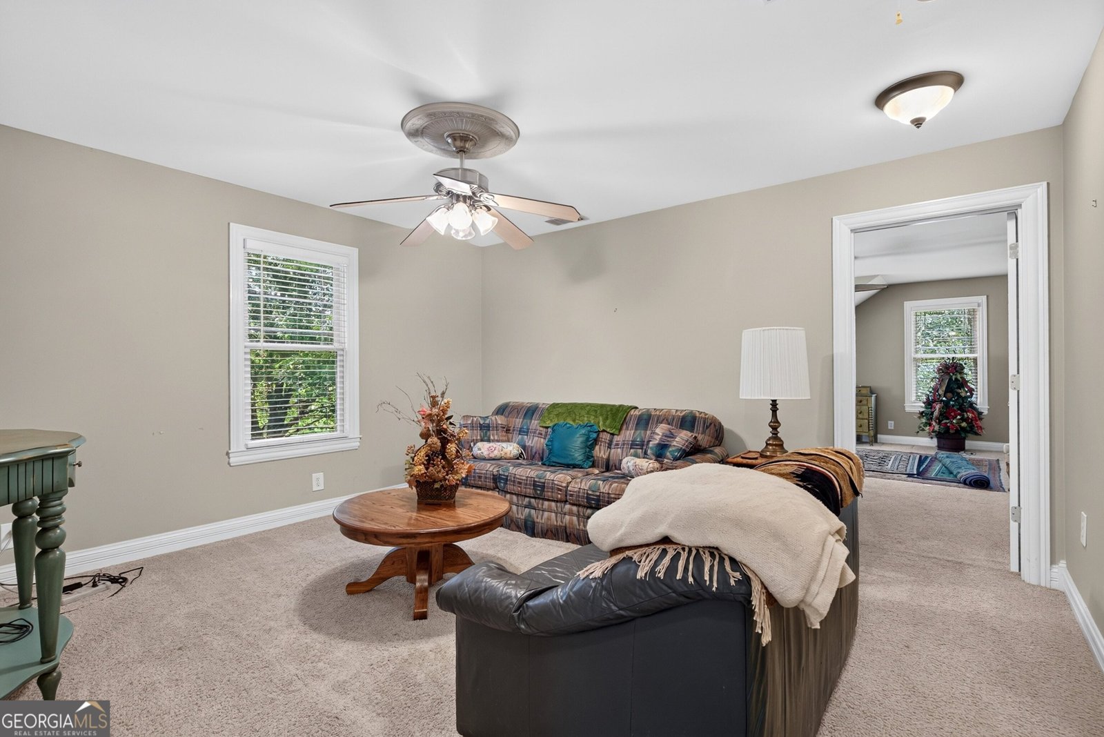 244 Howell Road Zebulon - Photo 47