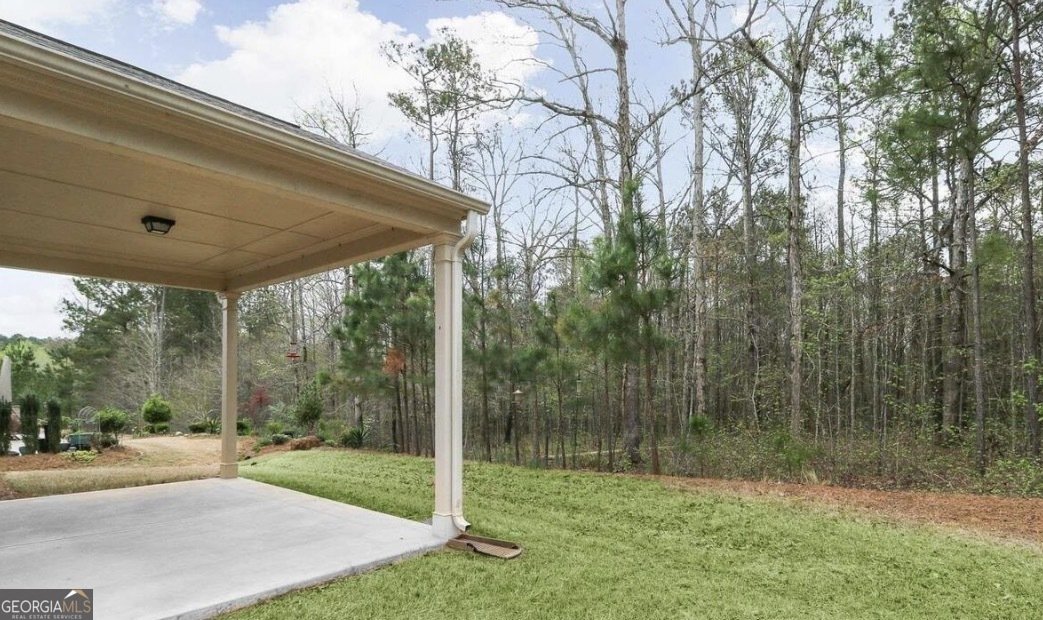 369 Sandy Springs Drive Griffin - Photo 13