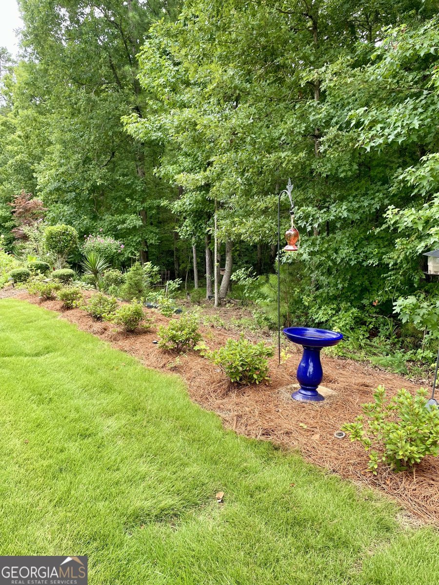 369 Sandy Springs Drive Griffin - Photo 18