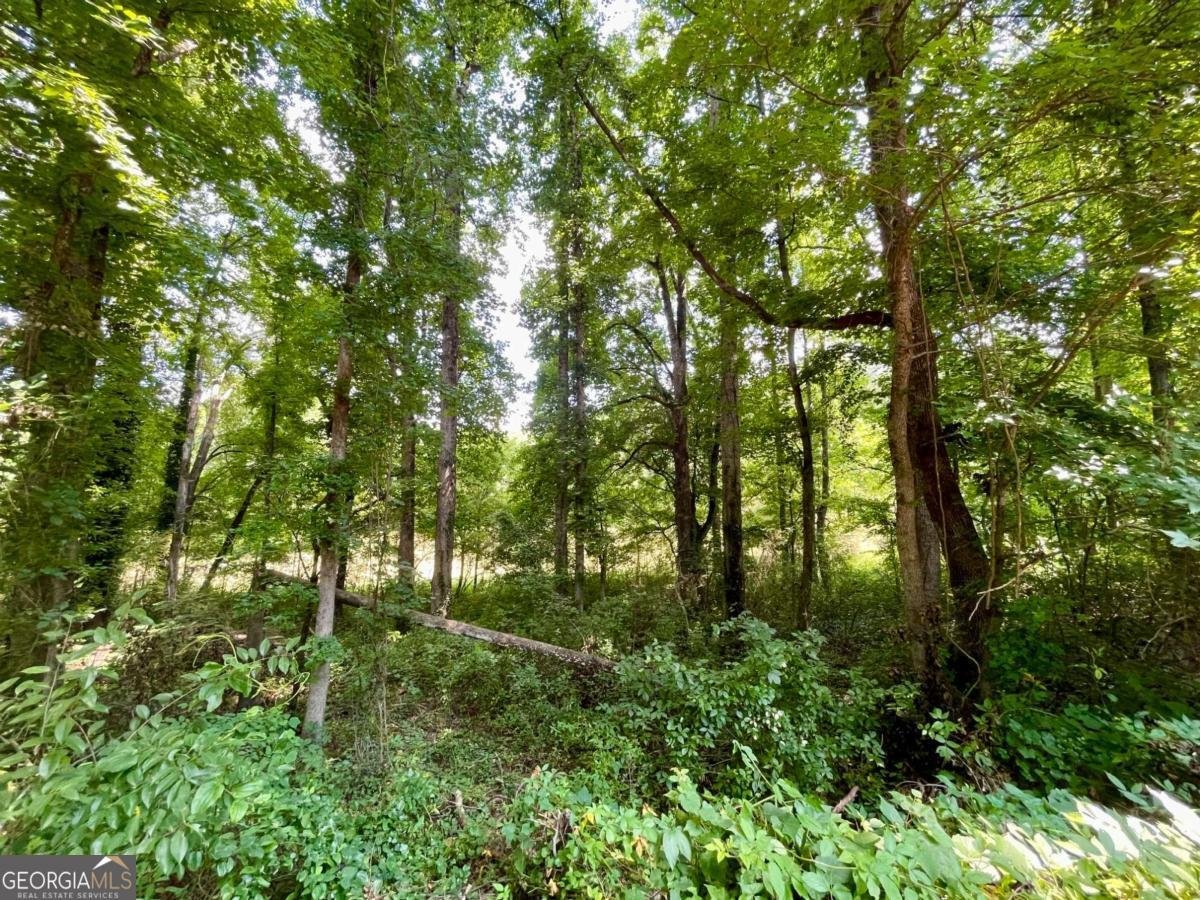 933 Vinings Drive Winder - Photo 43
