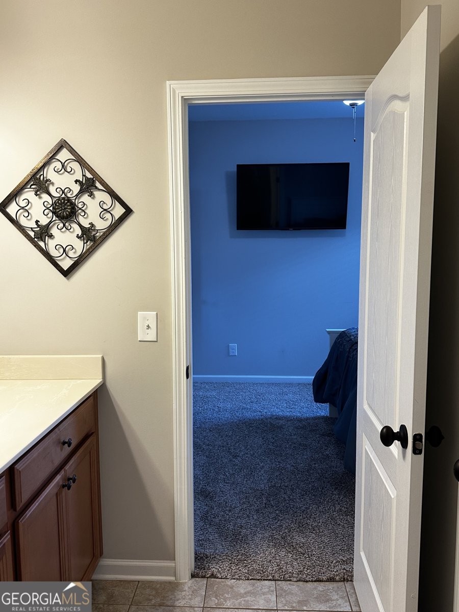 280 Granite Way Newnan - Photo 21