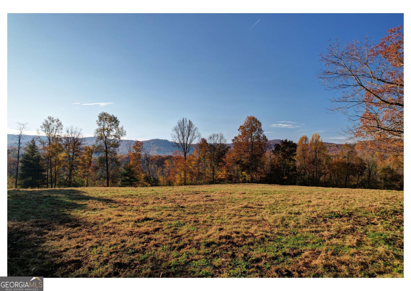 2086 Burnt Mountain Road Ellijay - Photo 11