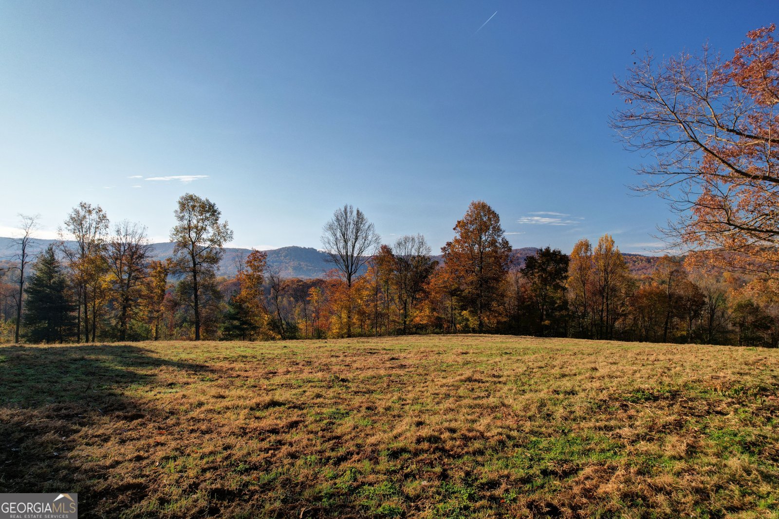 2086 Burnt Mountain Road Ellijay - Photo 129