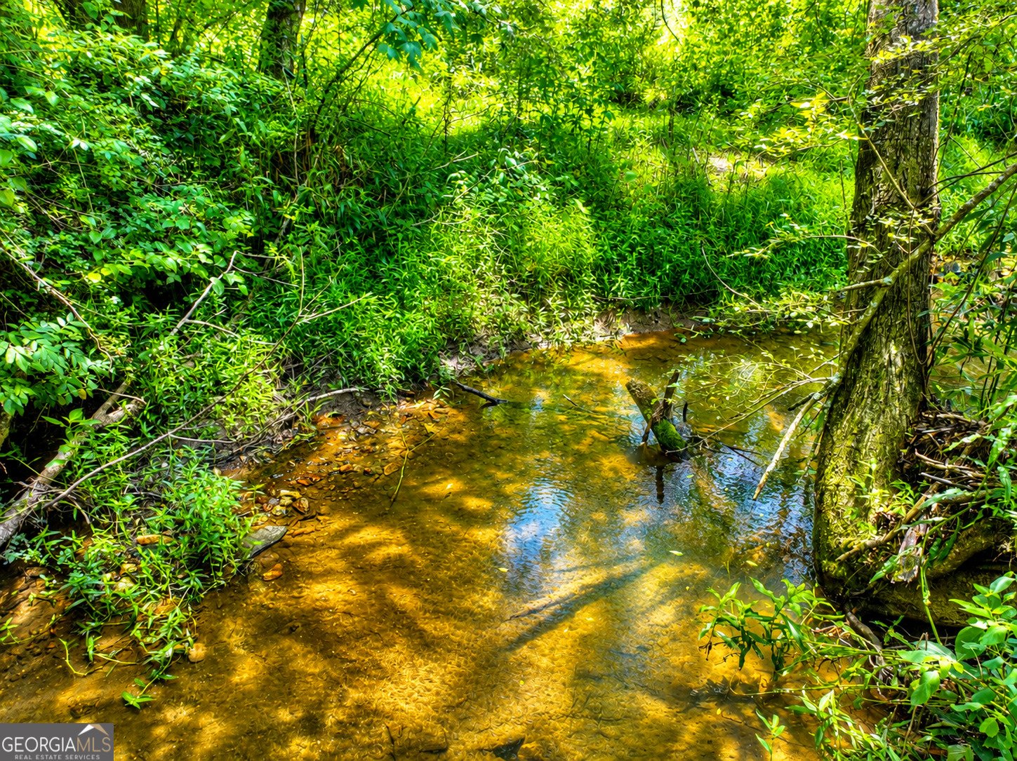 2086 Burnt Mountain Road Ellijay - Photo 130