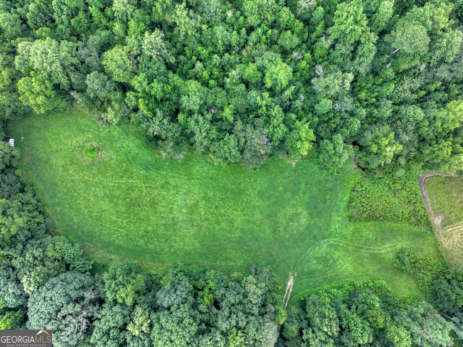 2086 Burnt Mountain Road Ellijay - Photo 132