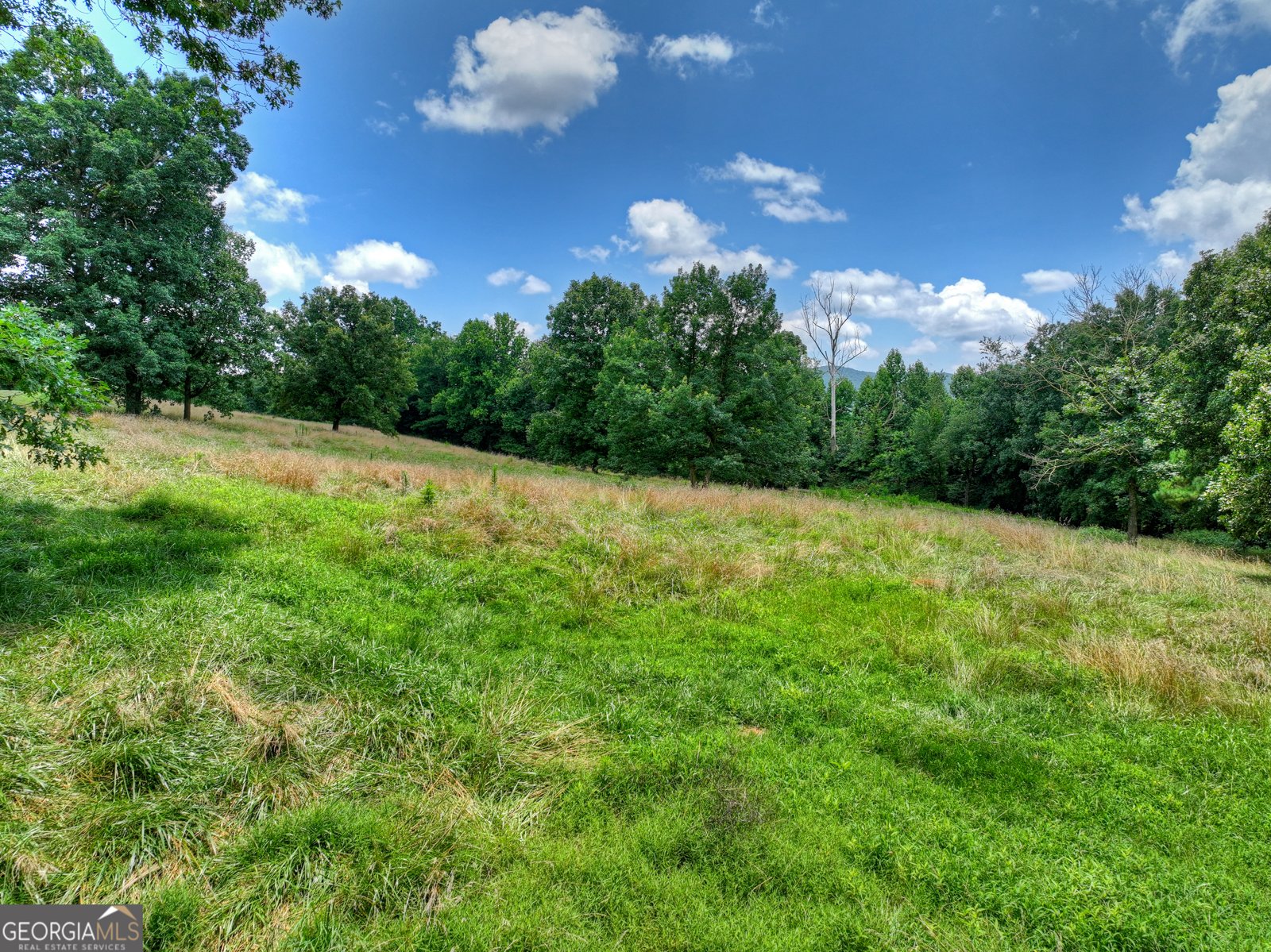 2086 Burnt Mountain Road Ellijay - Photo 135