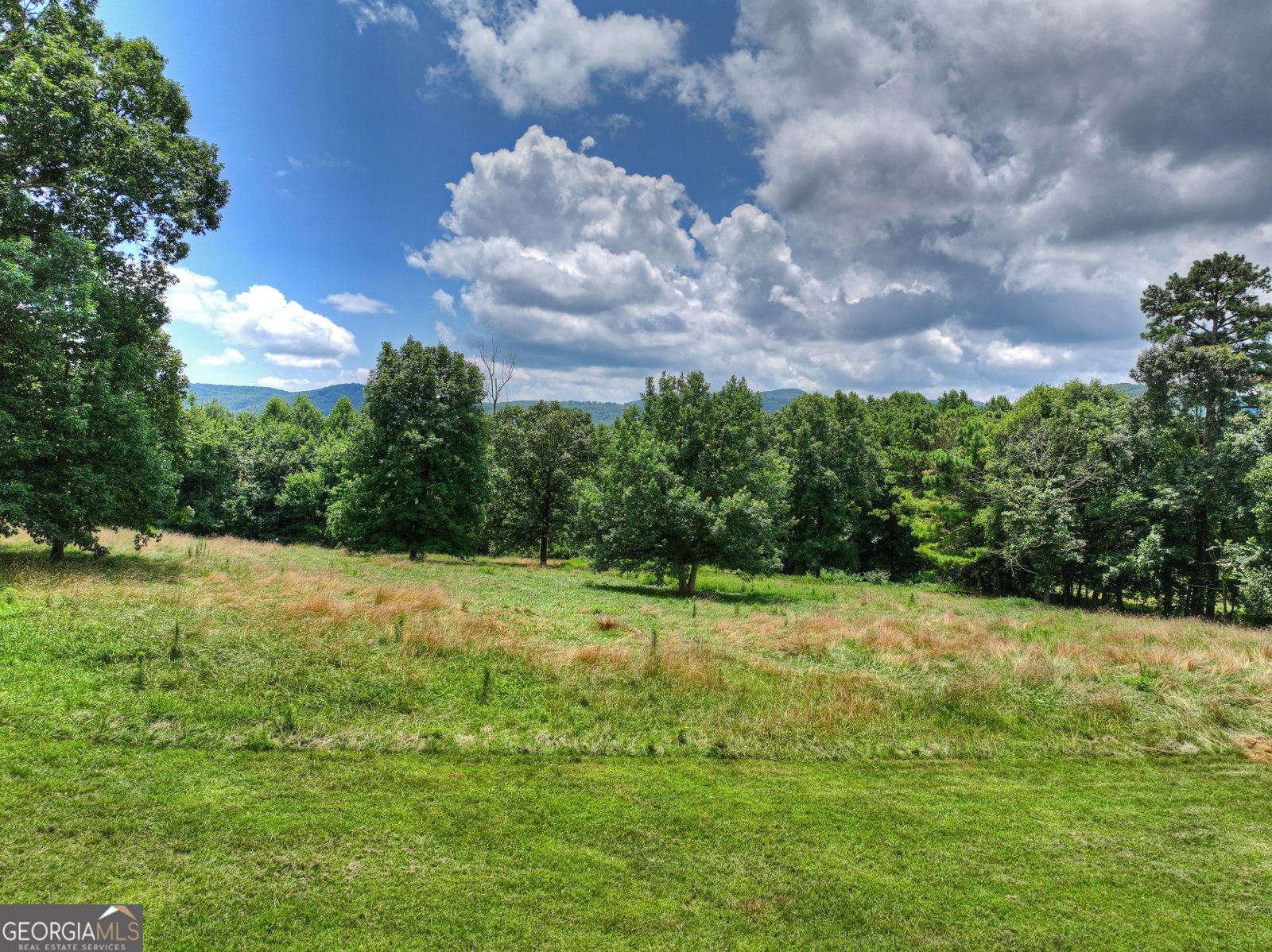 2086 Burnt Mountain Road Ellijay - Photo 136