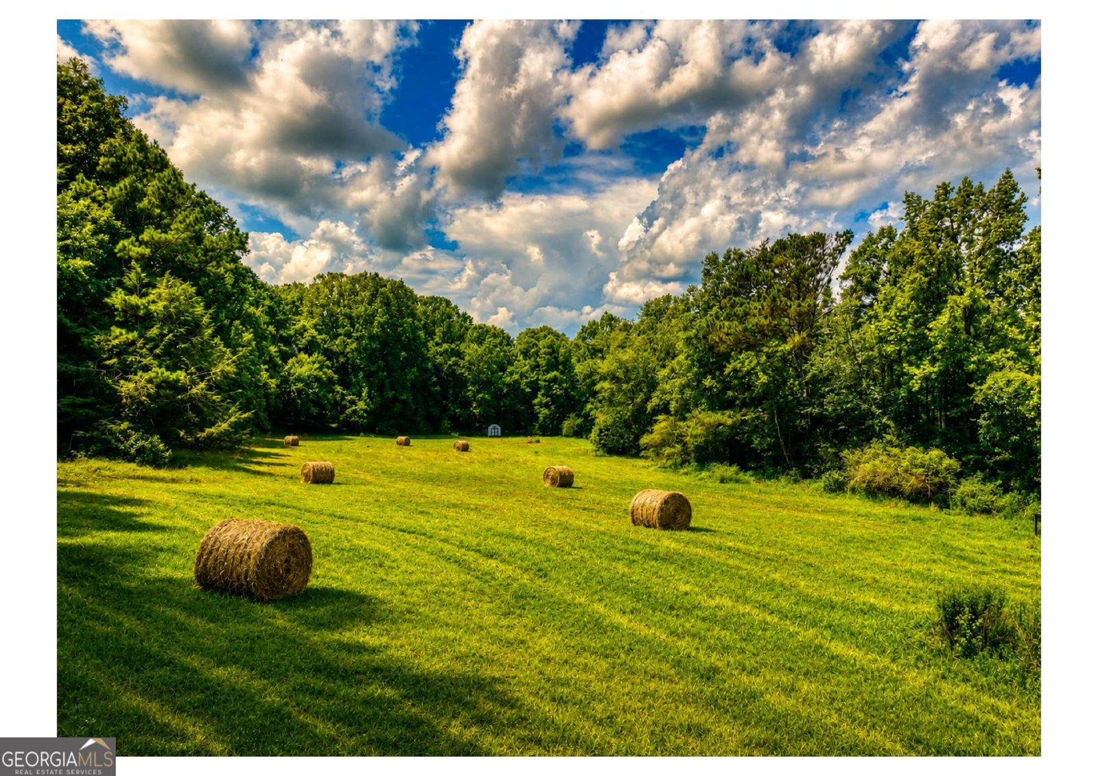 2086 Burnt Mountain Road Ellijay - Photo 140