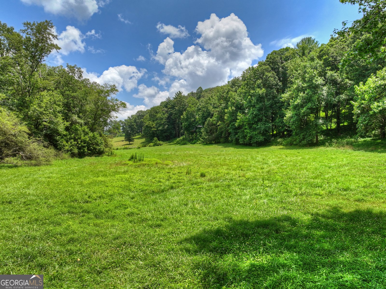 2086 Burnt Mountain Road Ellijay - Photo 142