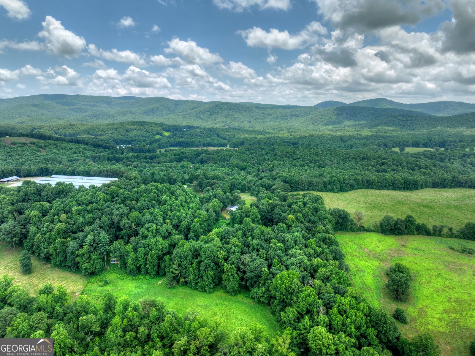 2086 Burnt Mountain Road Ellijay - Photo 144