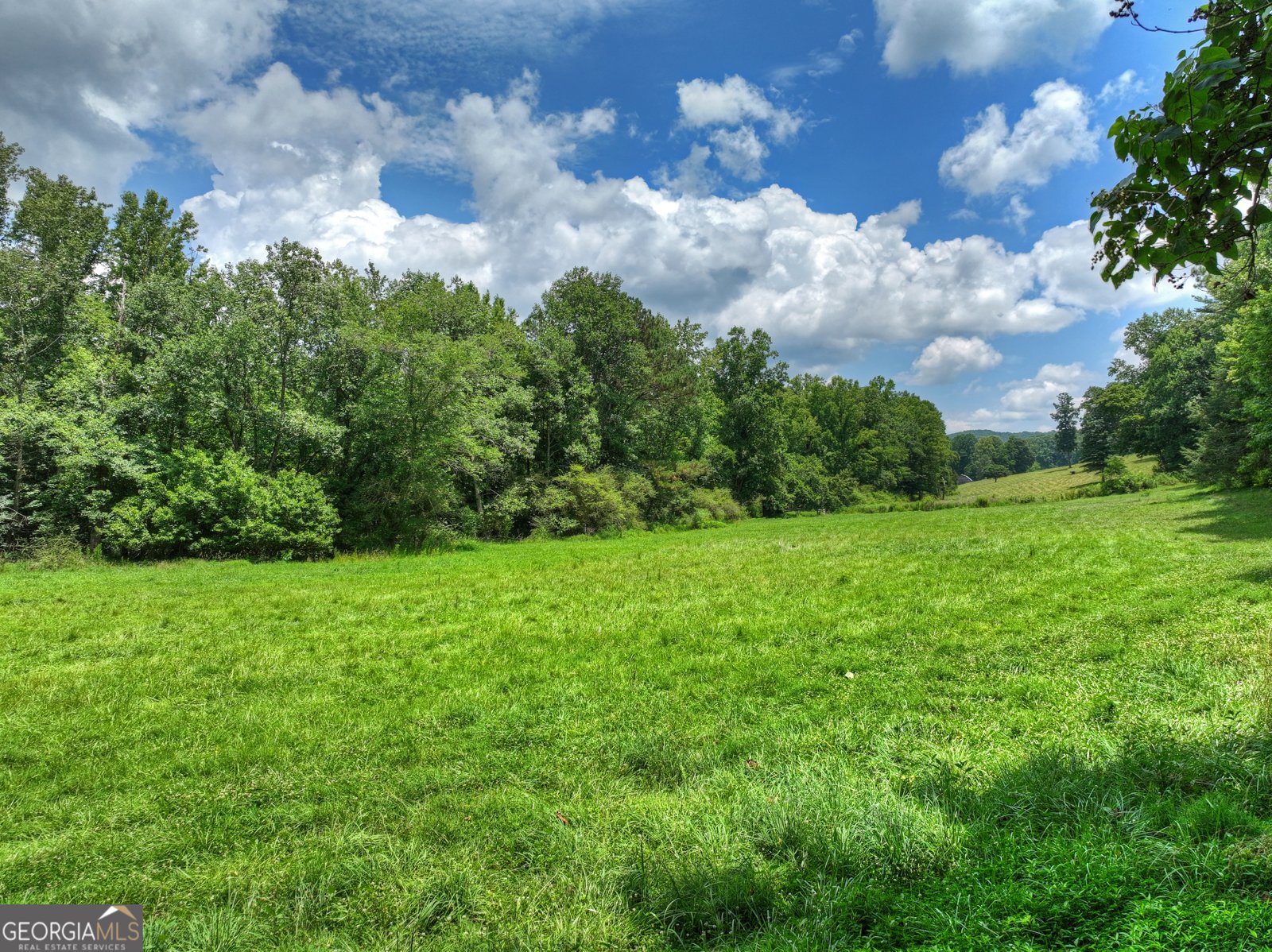 2086 Burnt Mountain Road Ellijay - Photo 145