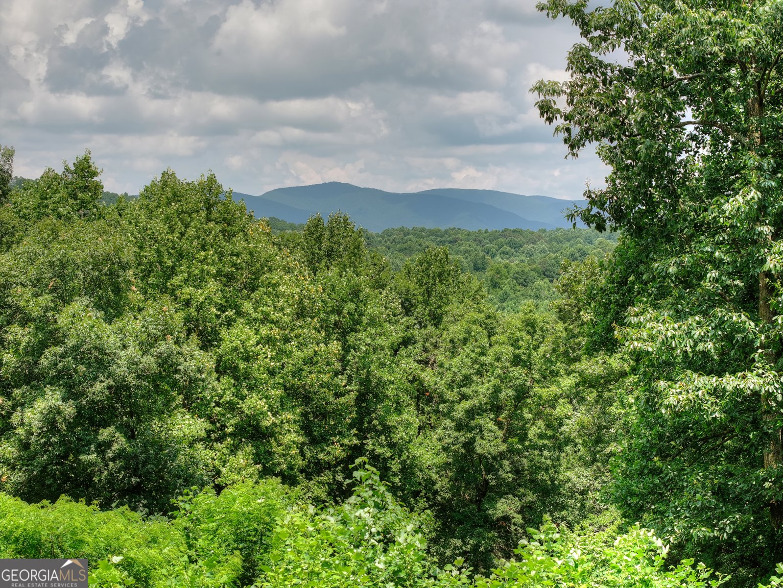 2086 Burnt Mountain Road Ellijay - Photo 146