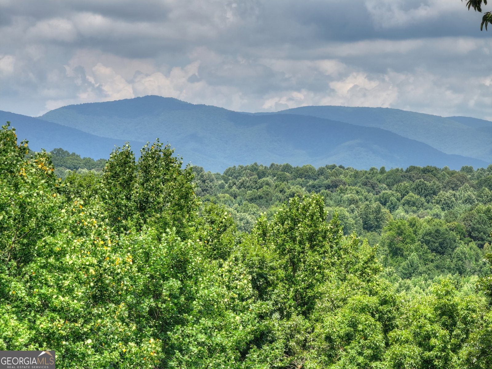 2086 Burnt Mountain Road Ellijay - Photo 148