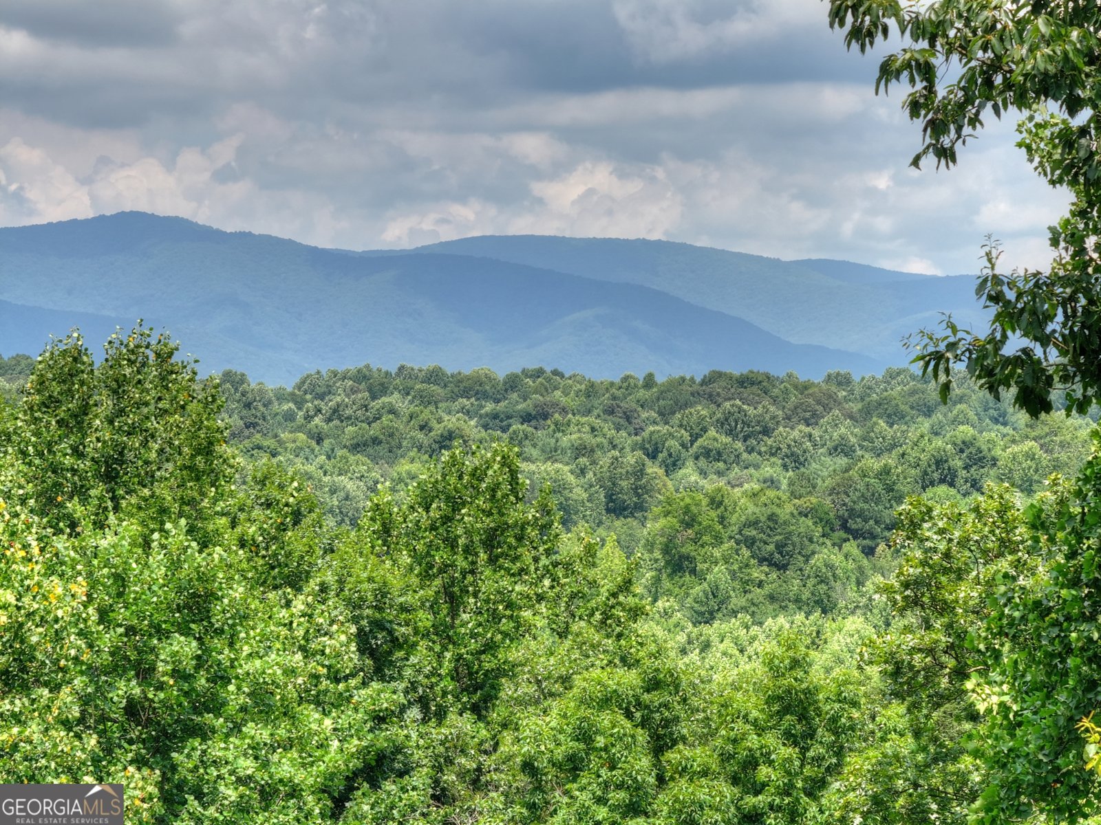 2086 Burnt Mountain Road Ellijay - Photo 149