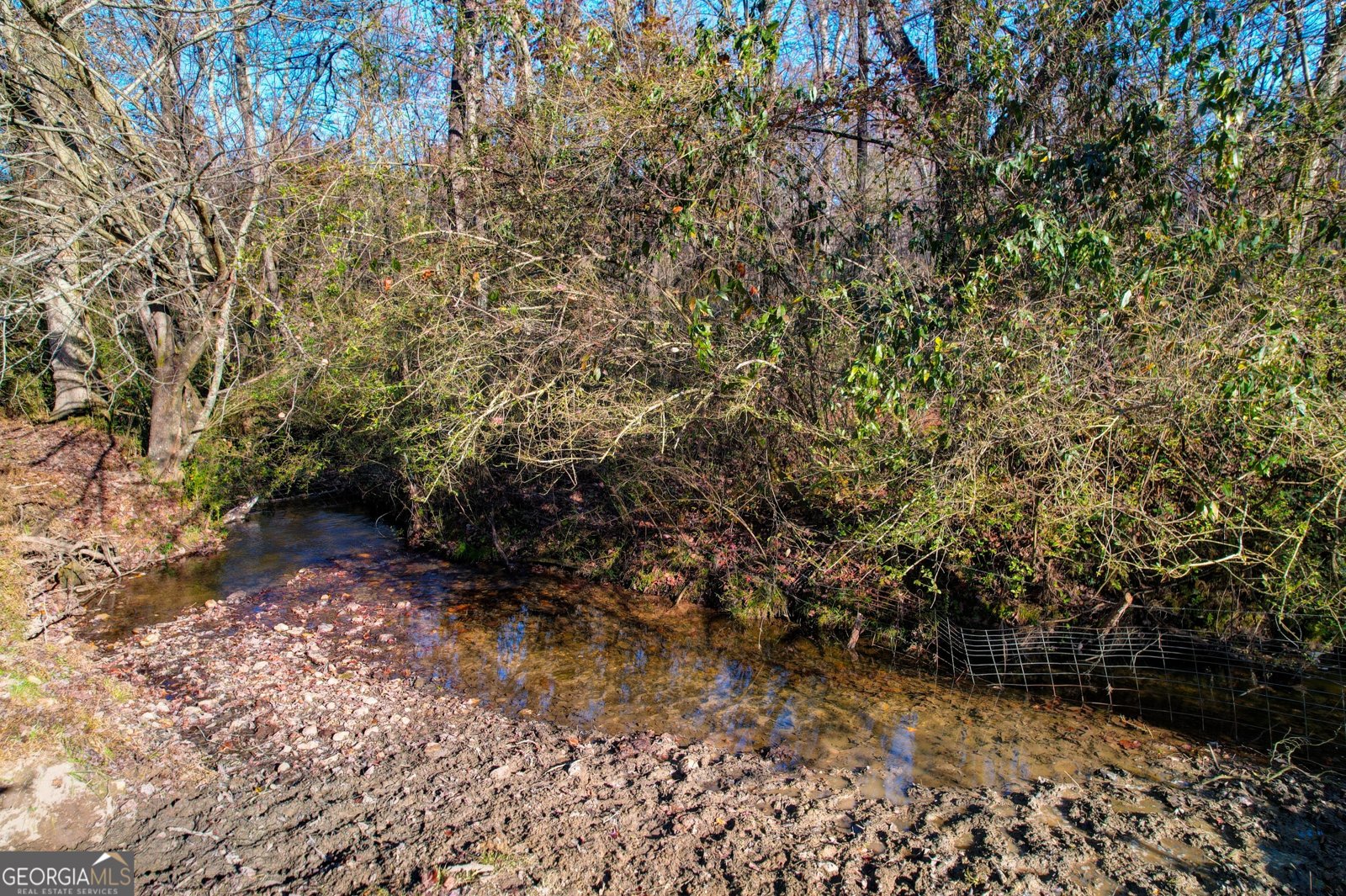 2086 Burnt Mountain Road Ellijay - Photo 151