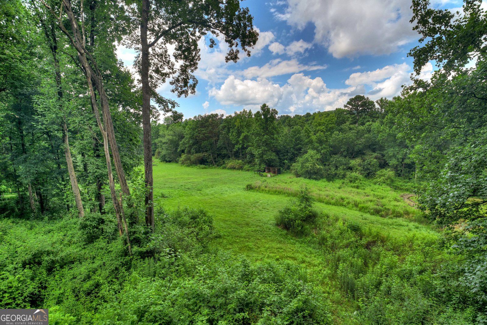 2086 Burnt Mountain Road Ellijay - Photo 153