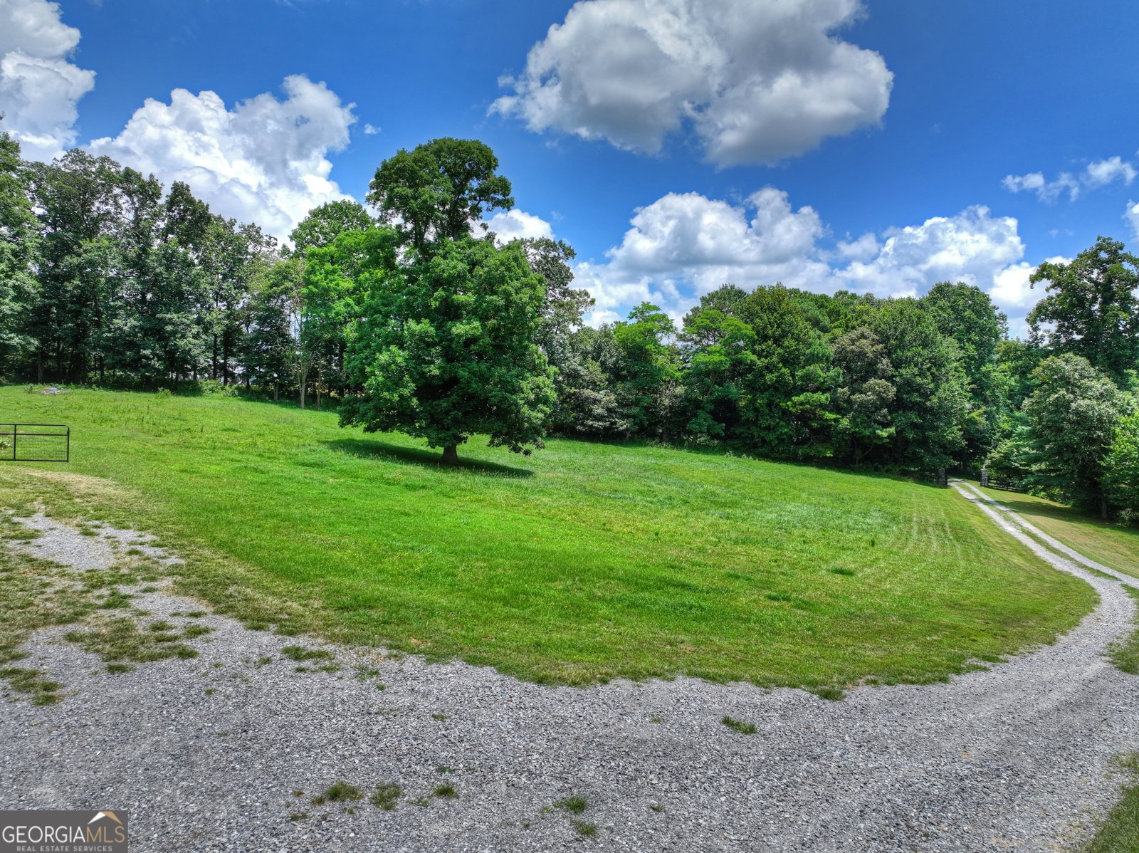 2086 Burnt Mountain Road Ellijay - Photo 154