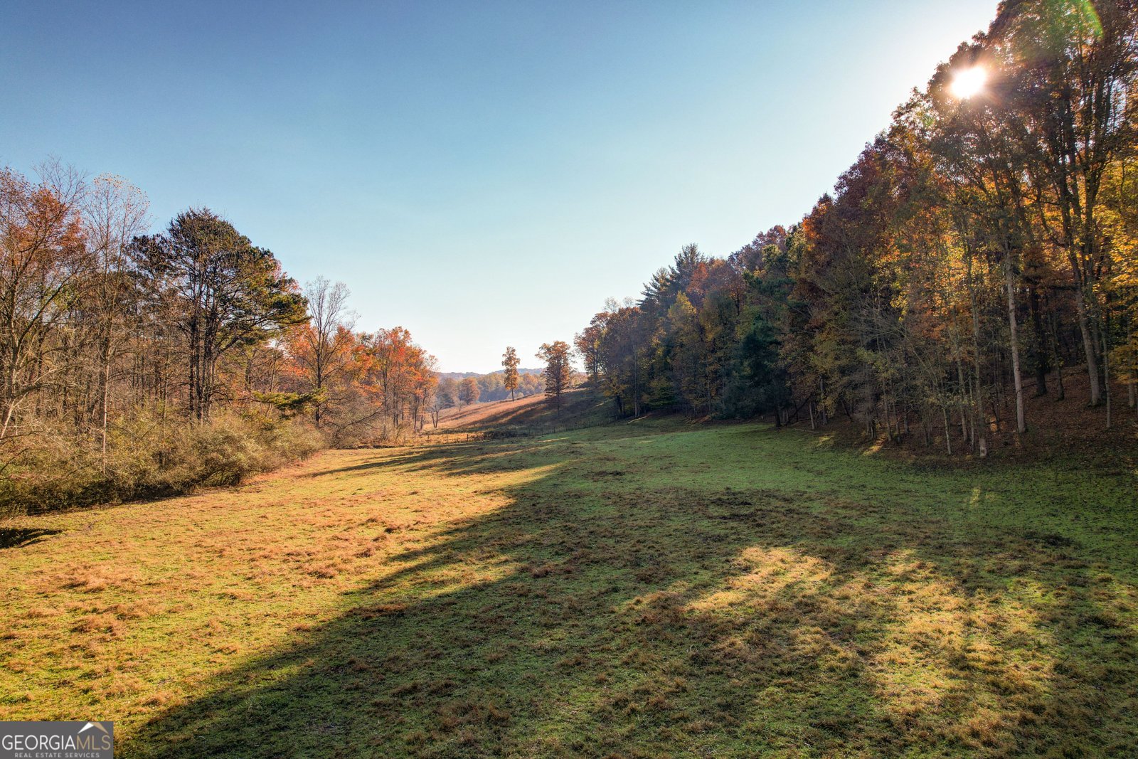 2086 Burnt Mountain Road Ellijay - Photo 159