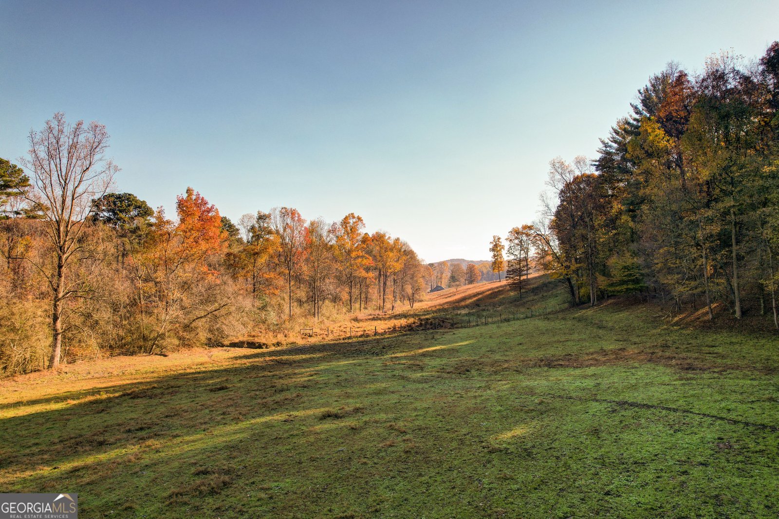 2086 Burnt Mountain Road Ellijay - Photo 160