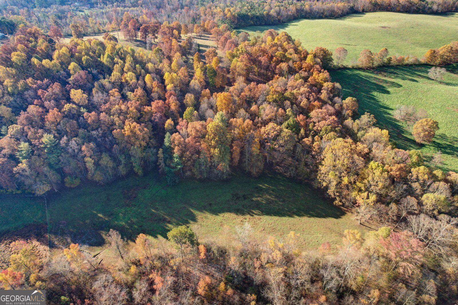 2086 Burnt Mountain Road Ellijay - Photo 161