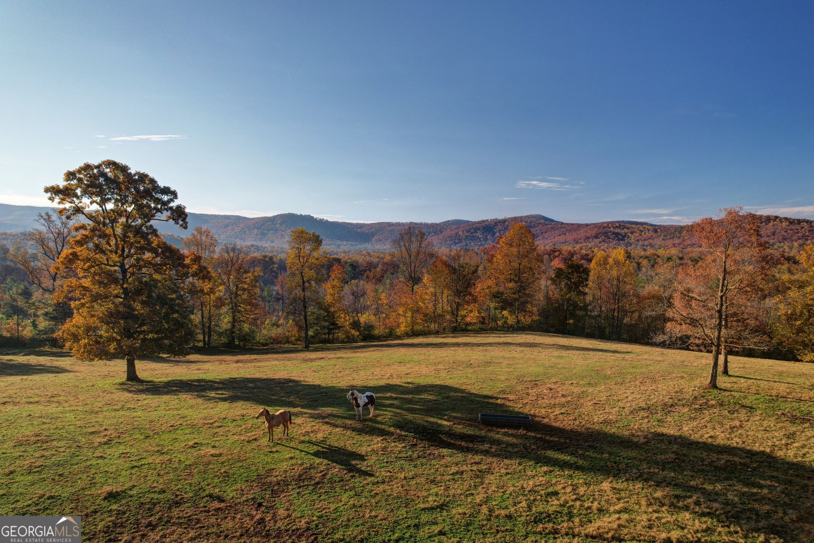 2086 Burnt Mountain Road Ellijay - Photo 7