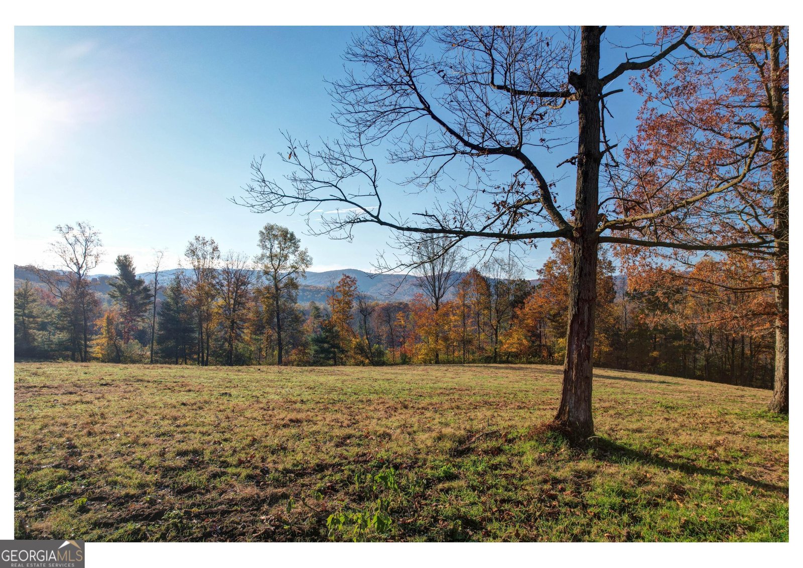 2086 Burnt Mountain Road Ellijay - Photo 9