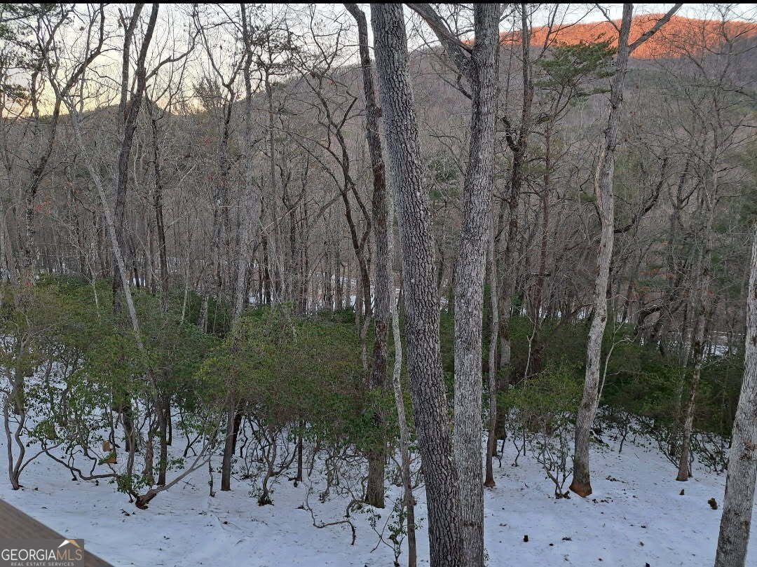 3014 Oakey Mountain Road Clarkesville - Photo 14