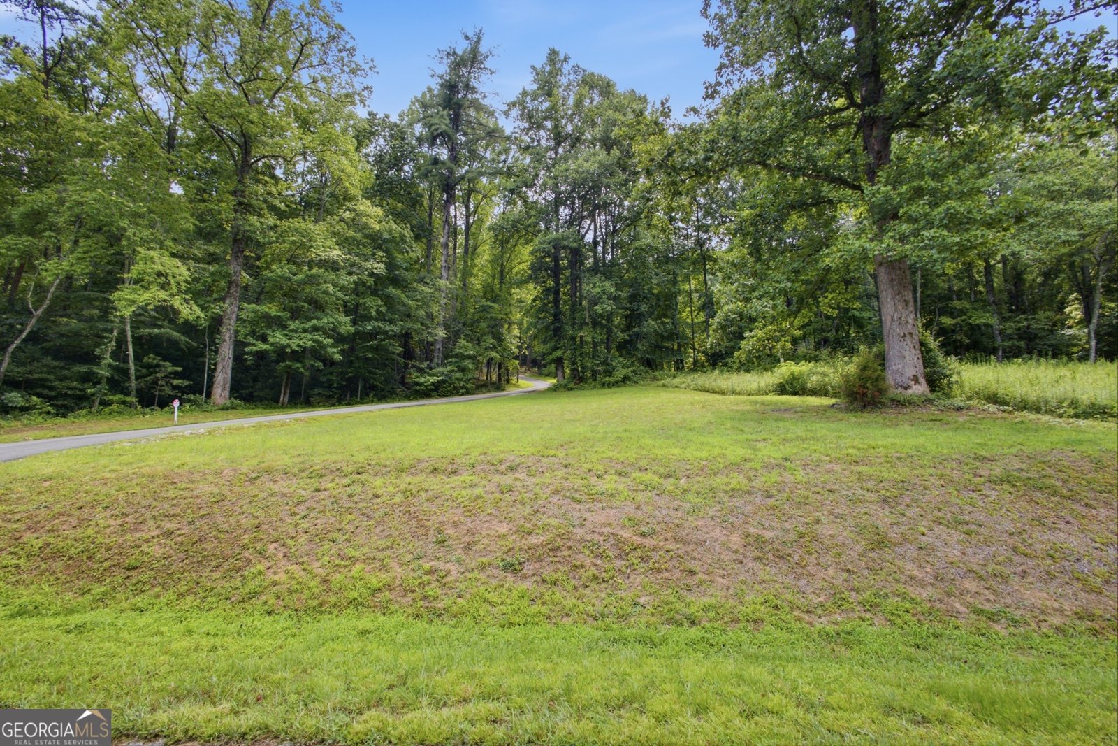 3014 Oakey Mountain Road Clarkesville - Photo 35