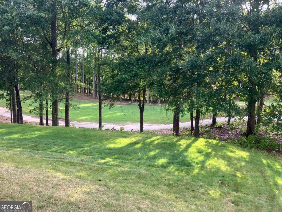 122 Wolf Tail Court Atlanta - Photo 25