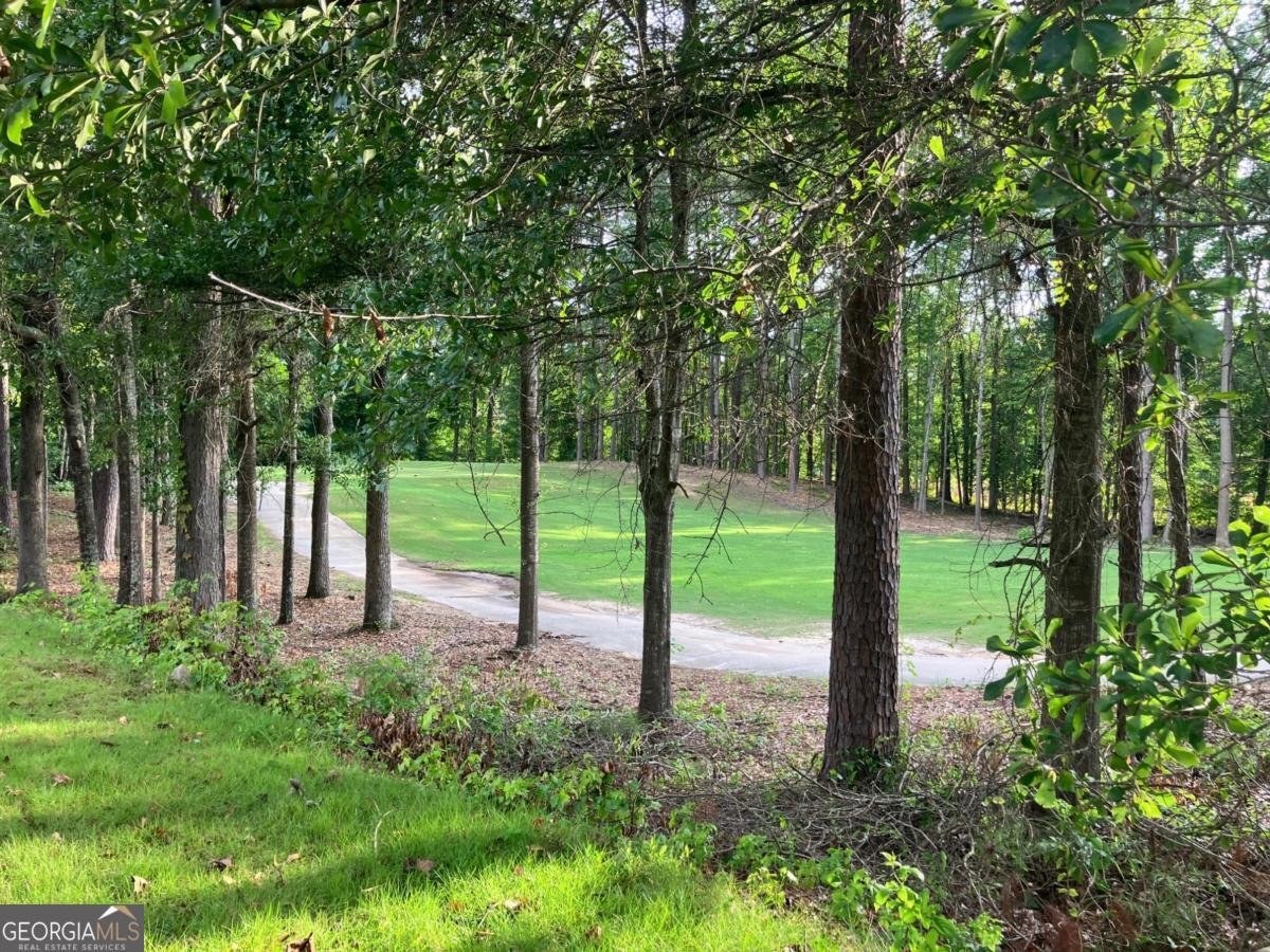 122 Wolf Tail Court Atlanta - Photo 26