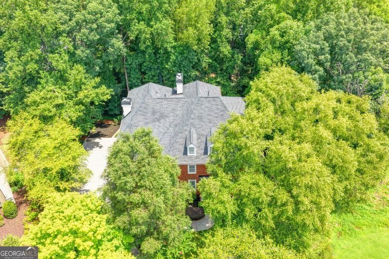 1429 Spyglass Hill Drive Johns Creek - Photo 100