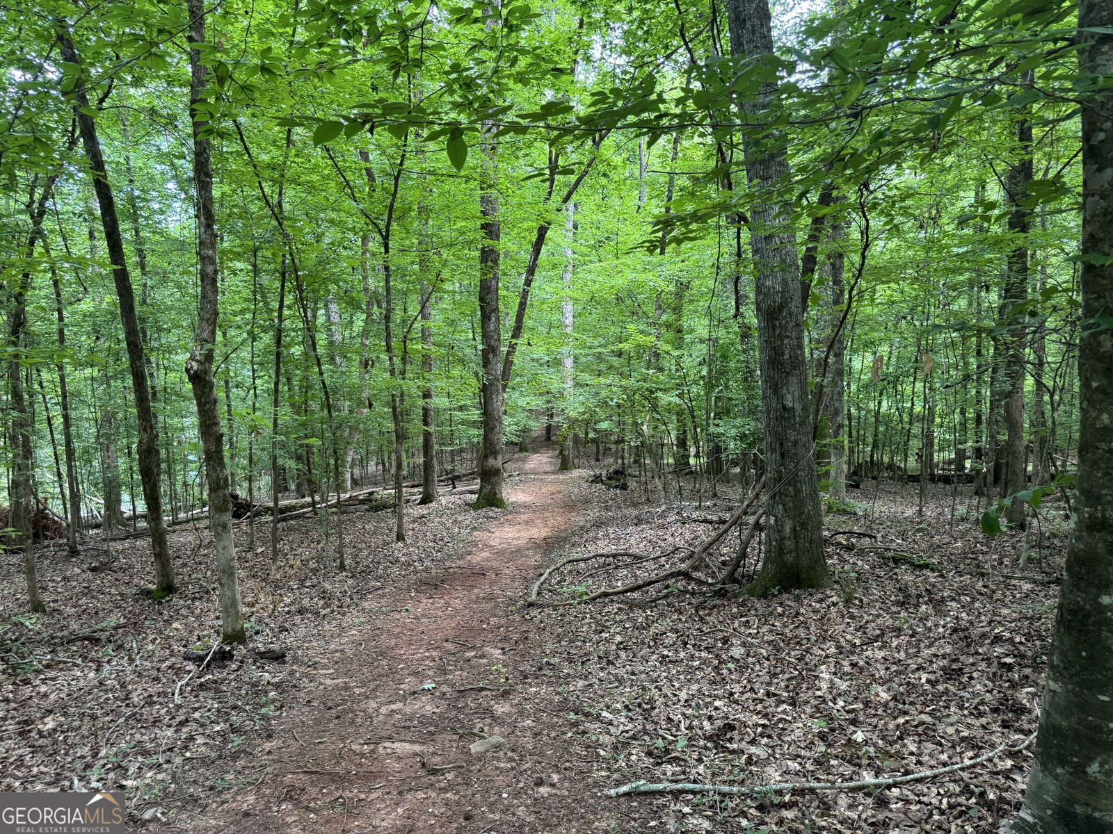 58 Pine Cove Drive Lagrange - Photo 27