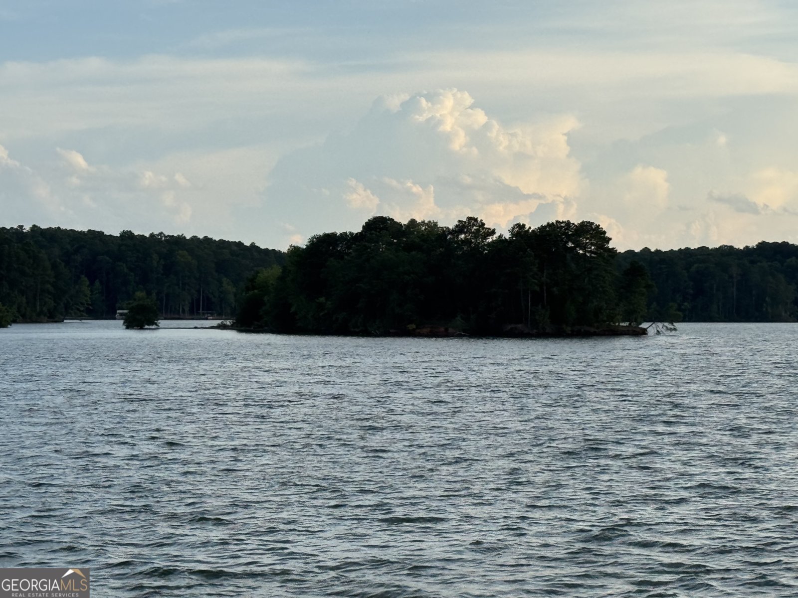 58 Pine Cove Drive Lagrange - Photo 37