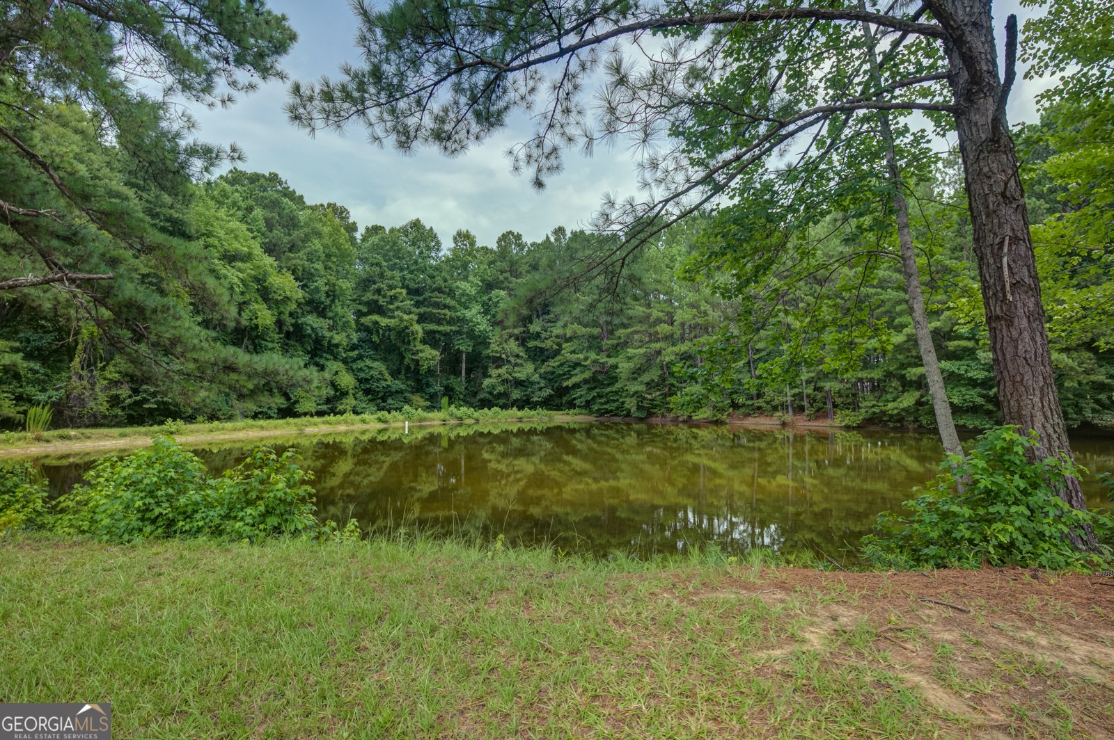 260 Lamar Smith Drive Newnan - Photo 40