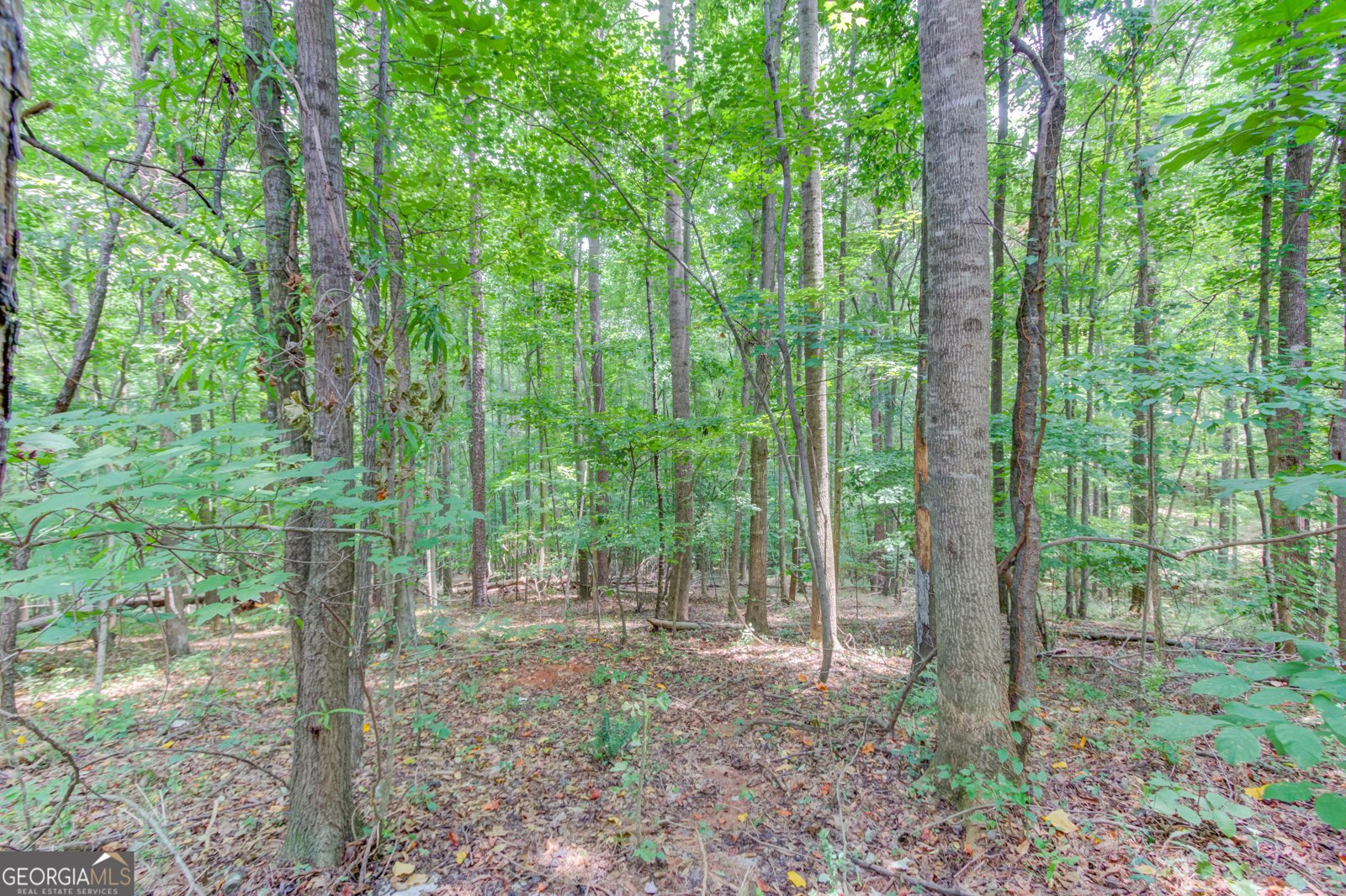 3358 Eberhart Cemetery Road Gainesville - Photo 29