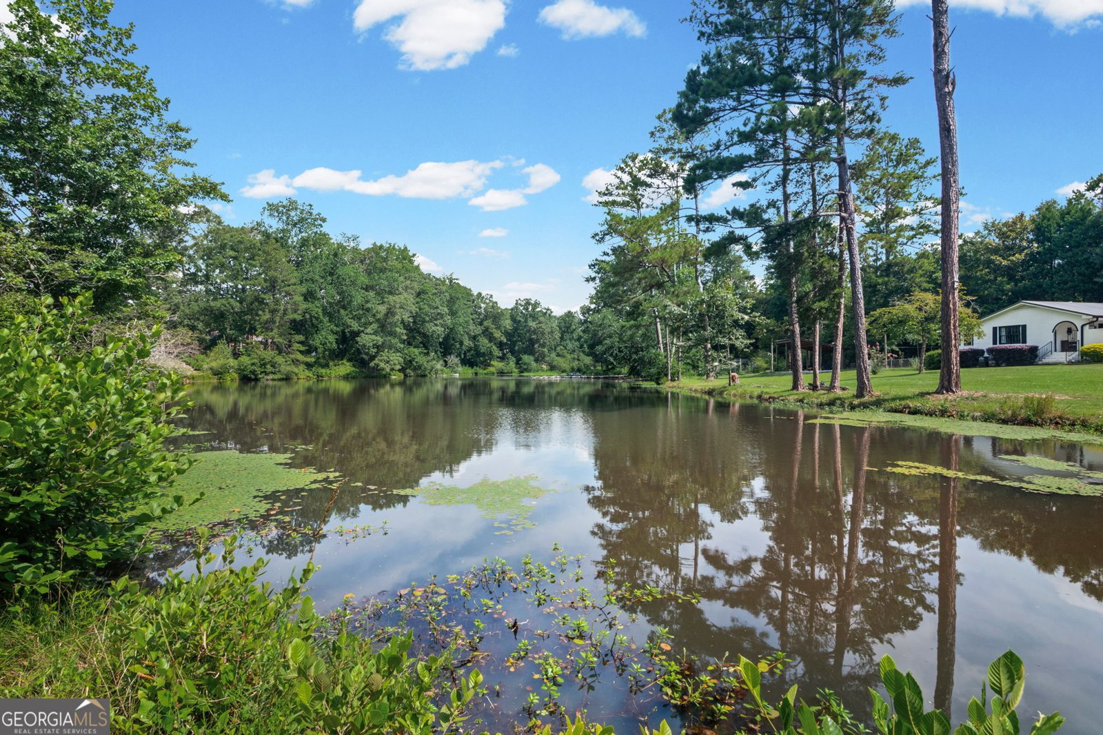 163 Sheppard Drive Newnan - Photo 41